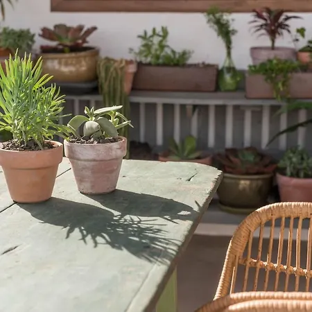 Holiday home Casa Botanica