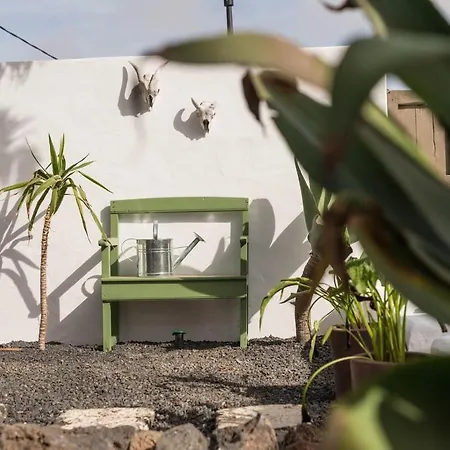 Casa Botanica Tao