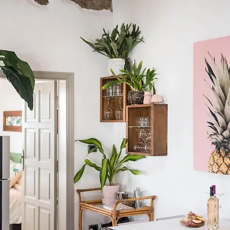 Casa Botanica *